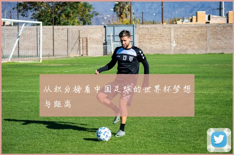从积分榜看中国足球的世界杯梦想与距离